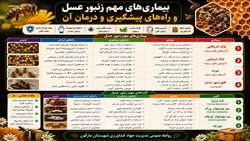 بیماریهای مهم زنبور عسل؛ راه های پیشگیری و درمان